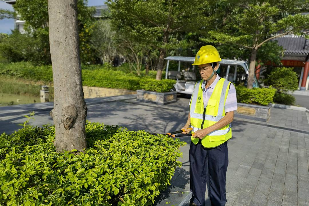 秋季园林绿化养护修剪